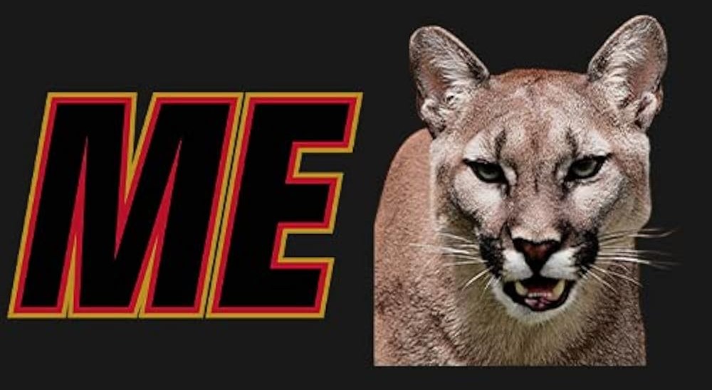 ME logo